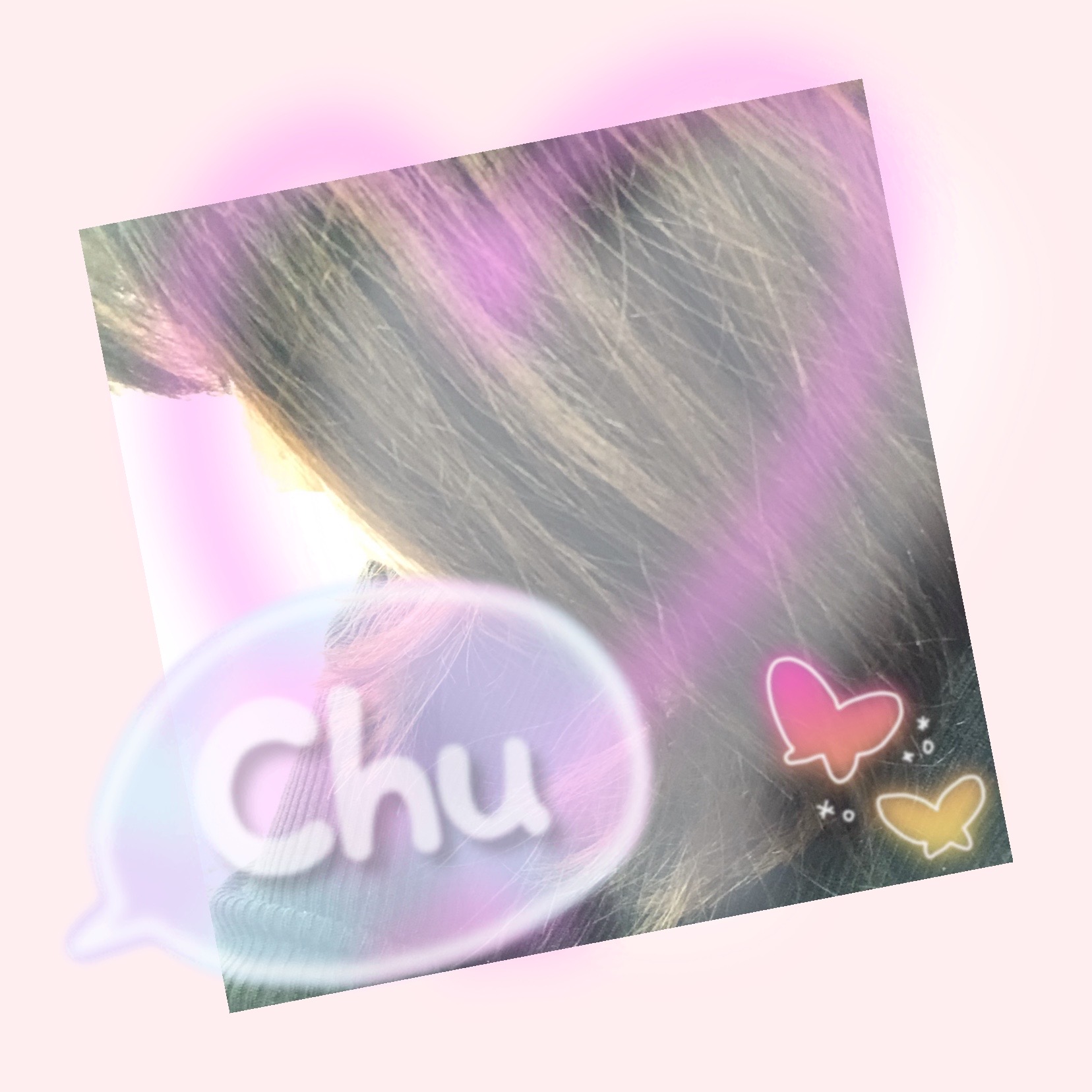 ���Ȃ̖L�c�ł�