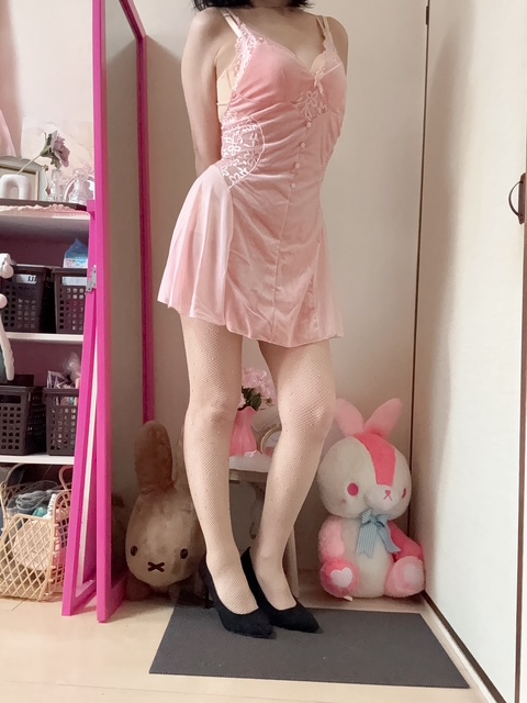 ������12���o�Η\��ł�