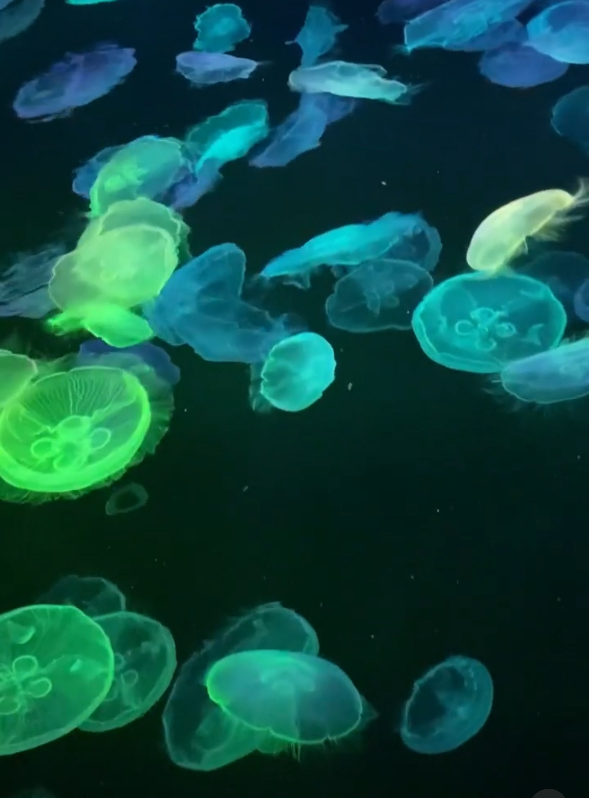 ���\��L�������܂���