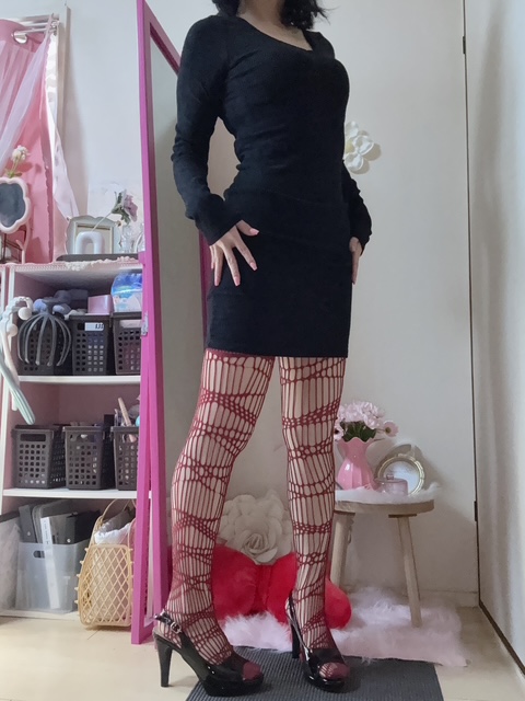 �o�Η\��