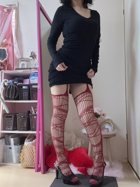 �o�Η\��