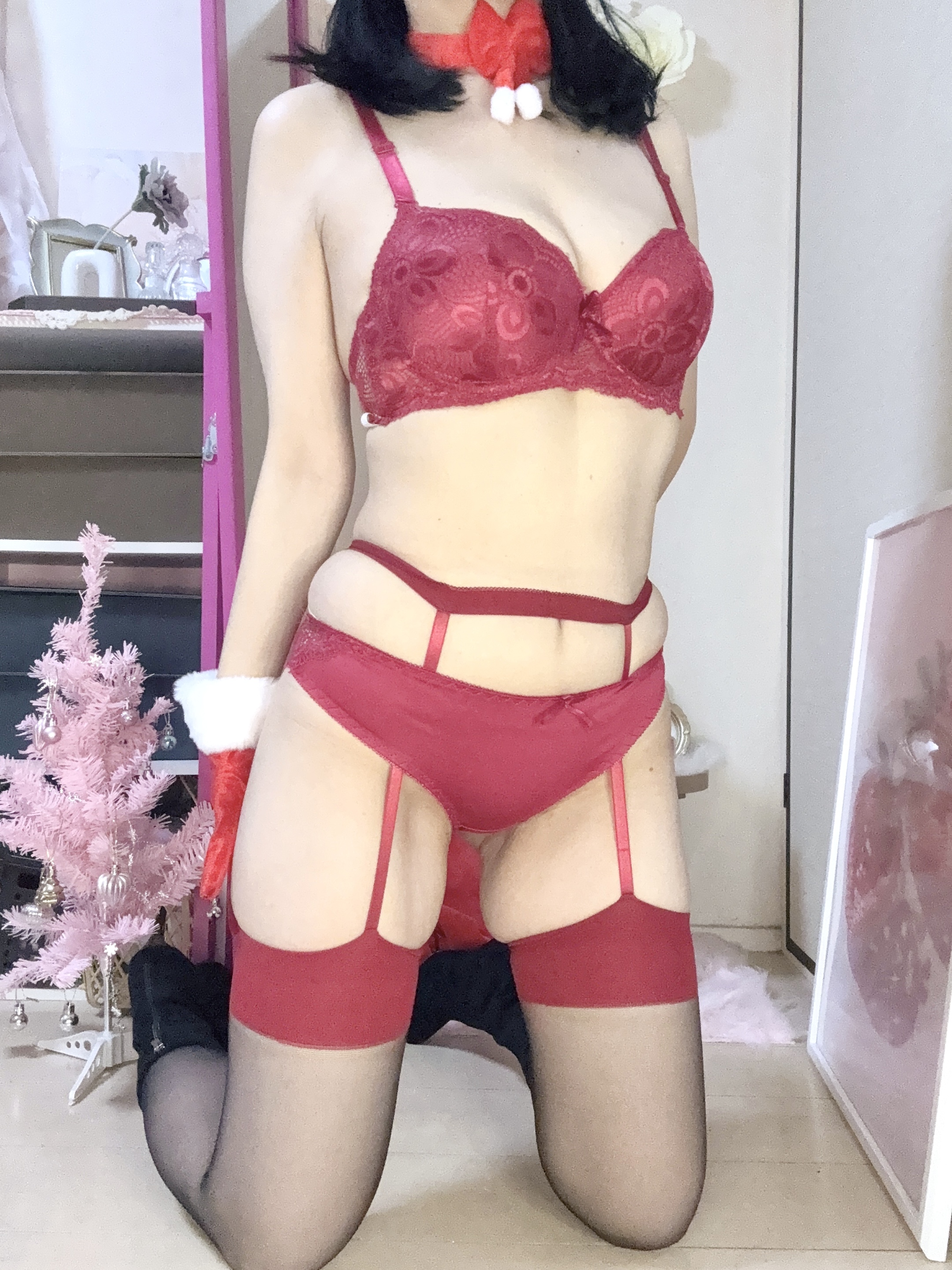 ������12���o�Η\��ł�