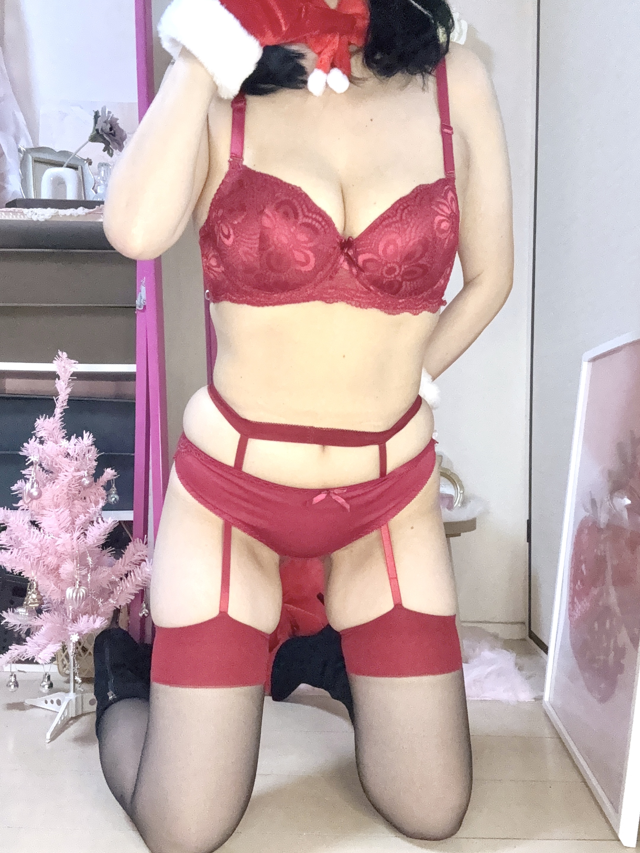 ������12���o�Η\��ł�