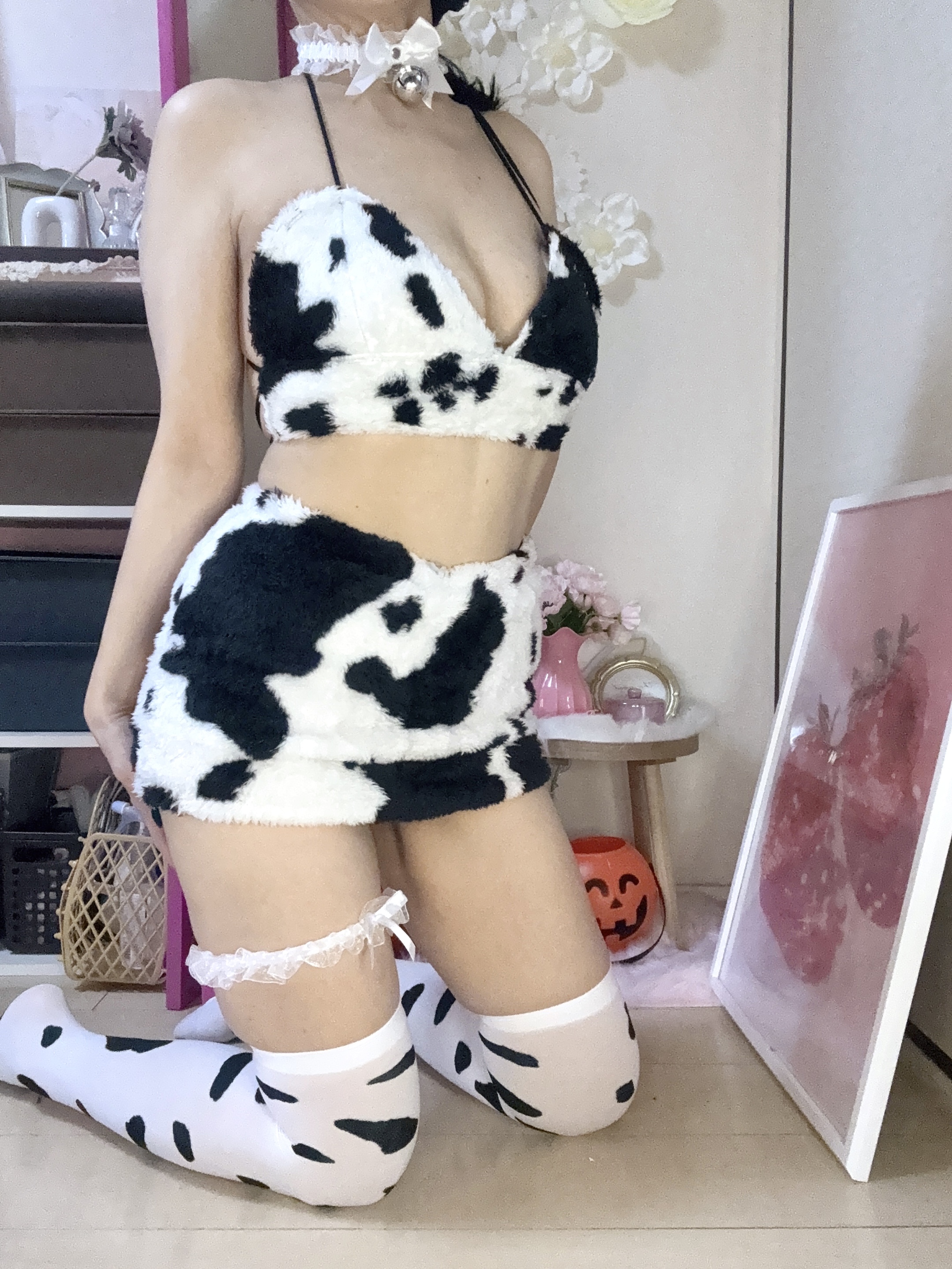 ���̏o�Η\��͋��j���ł�