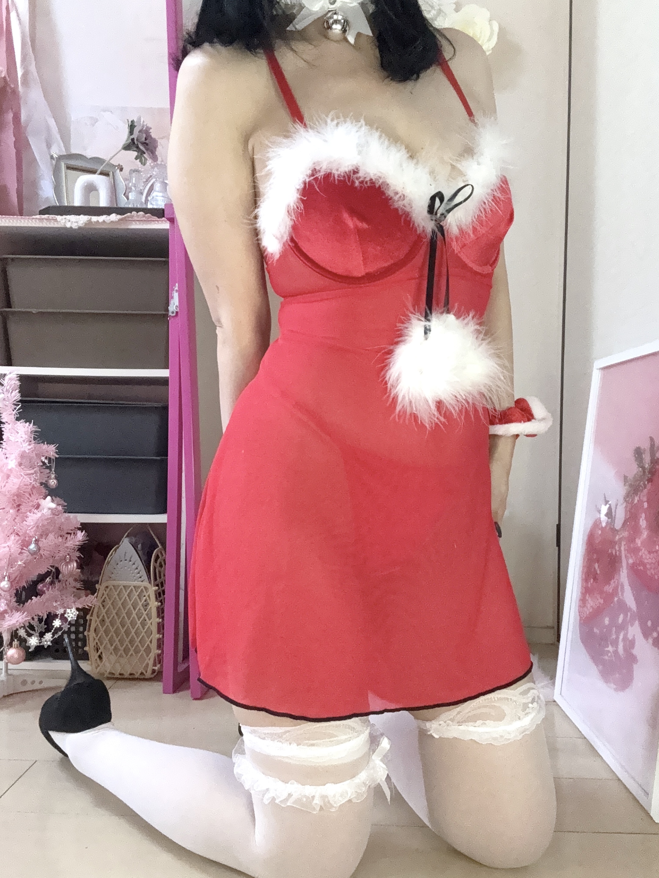 ������12���o�Η\��ł�