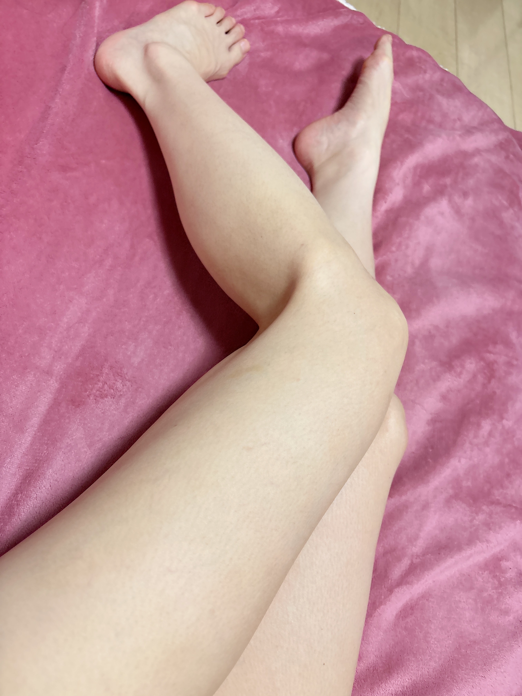 ������12���o�Η\��ł�