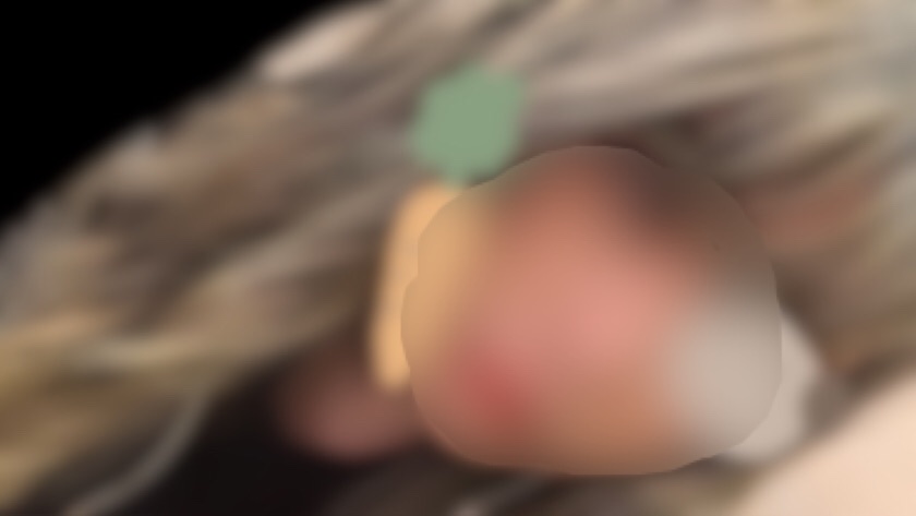 ����ł�.��