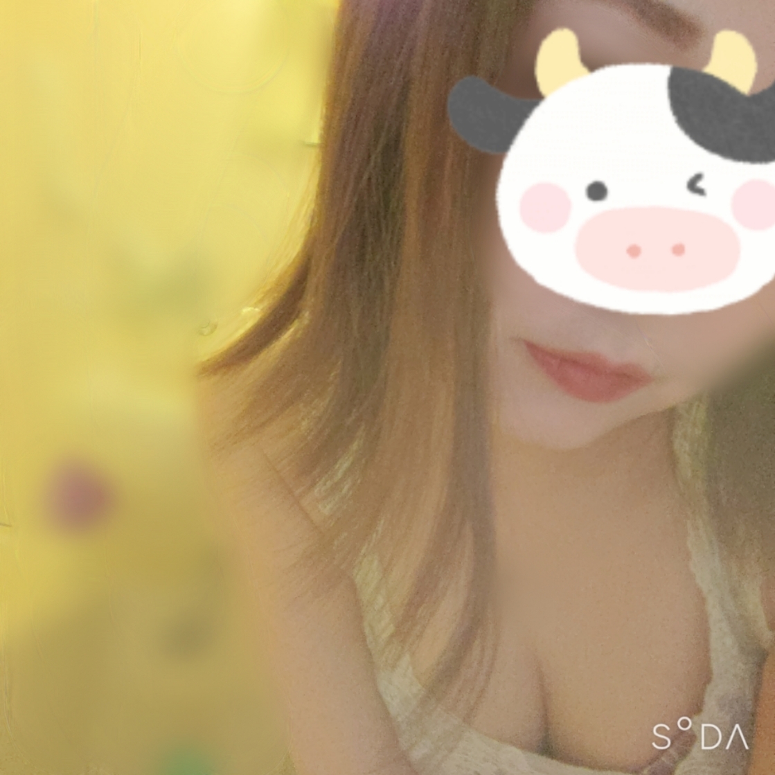 �Ђ߂̂ł���