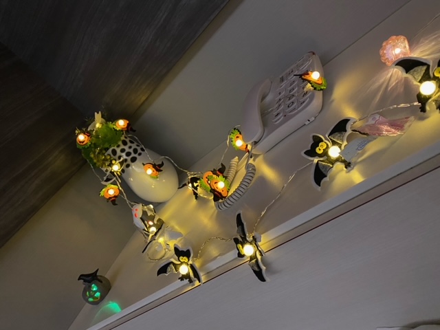 �V���ł�?*