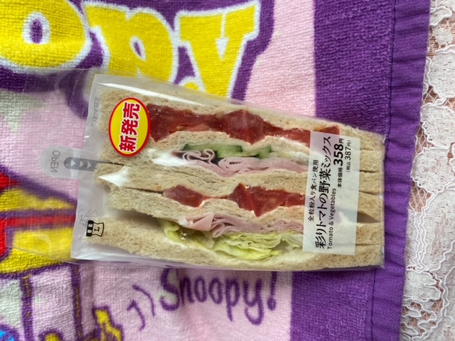 �V���ł���*�B