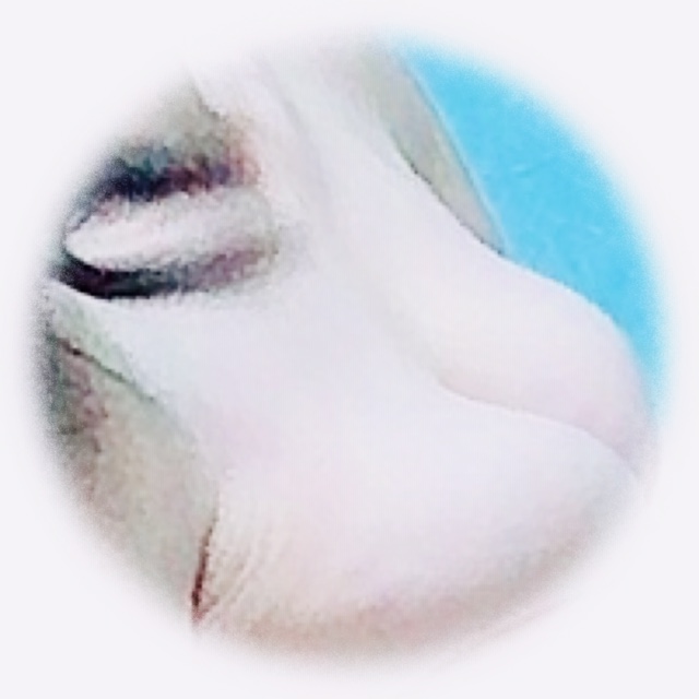 ����ɂ���